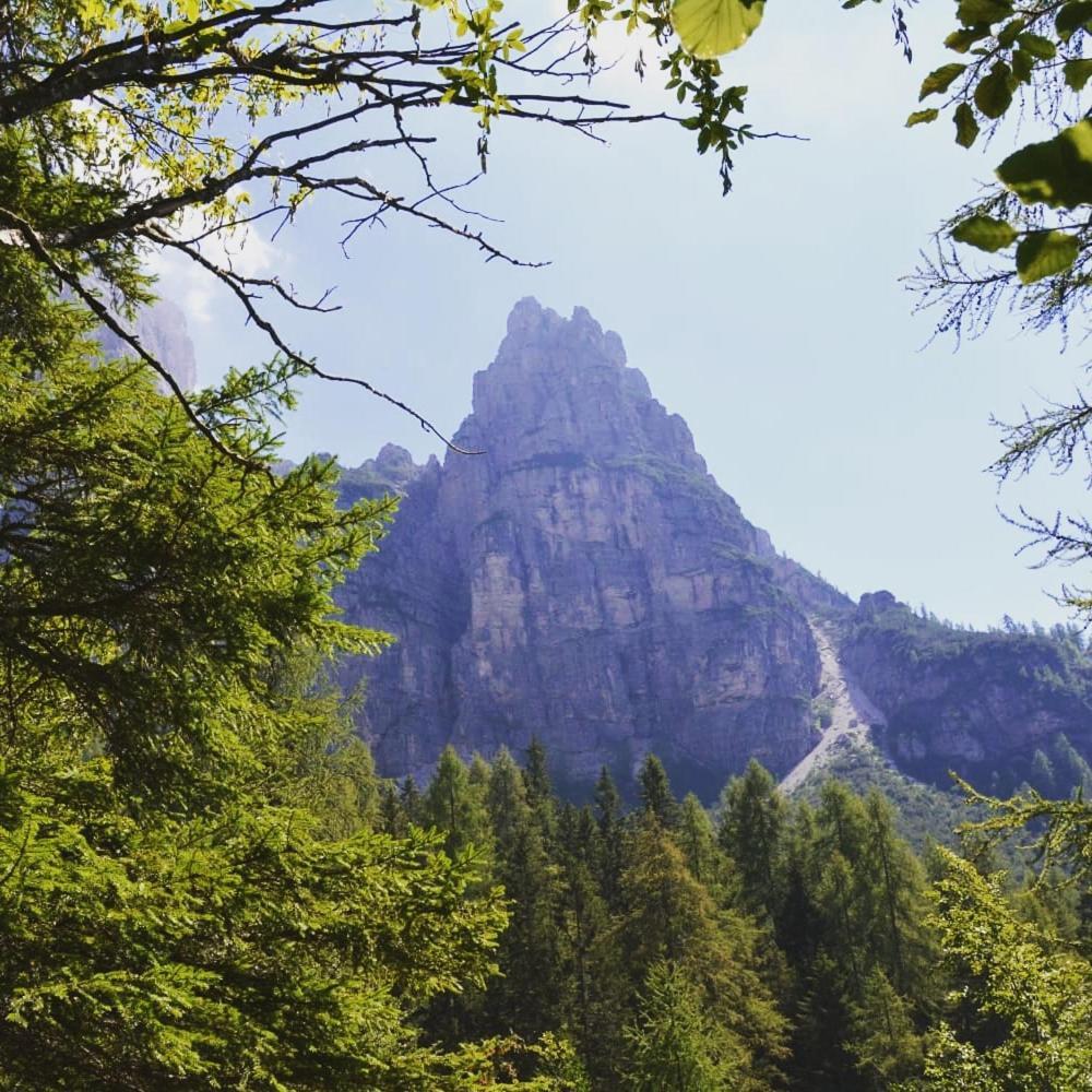 Mountain Apartment Alleghe Bilik gambar