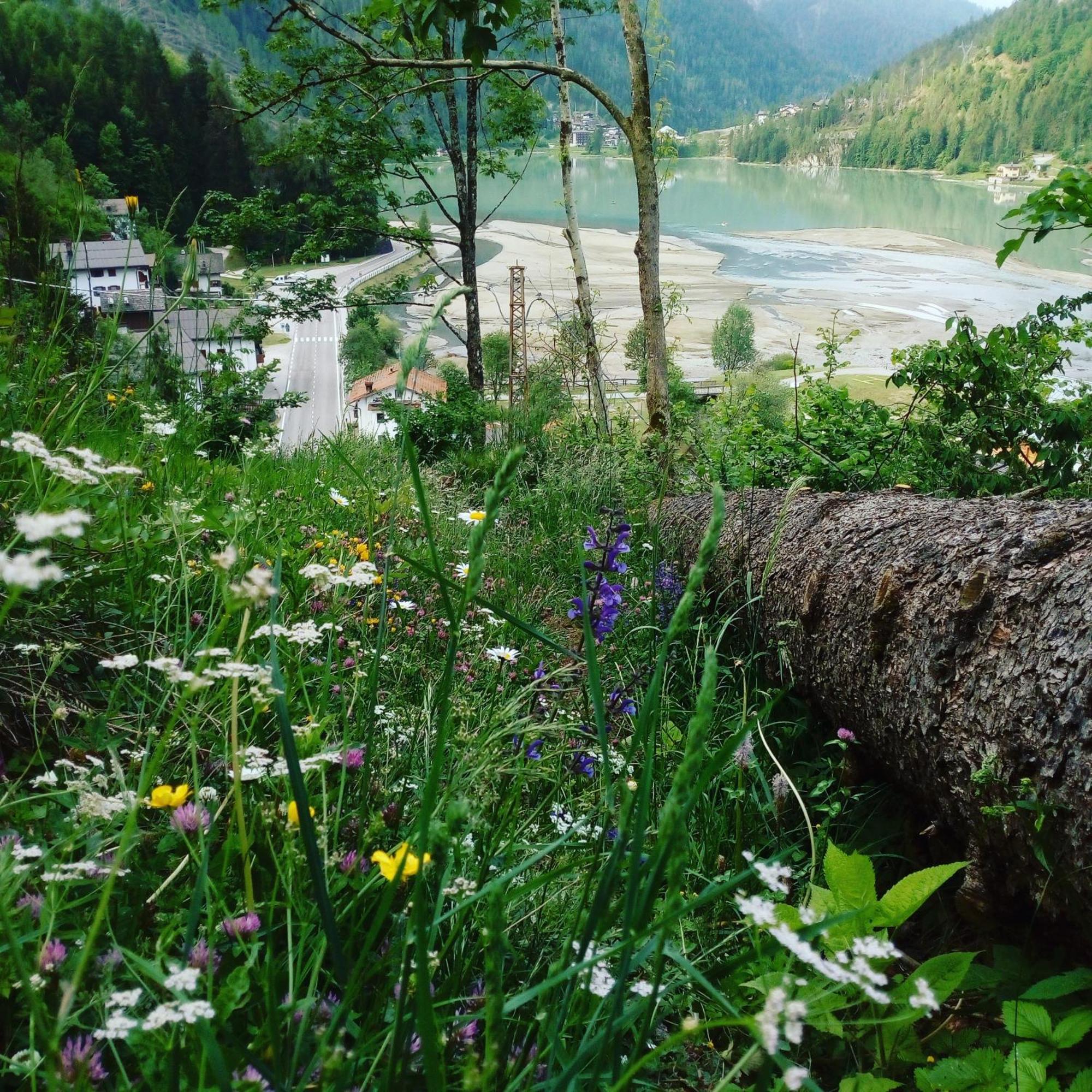 Mountain Apartment Alleghe Bilik gambar